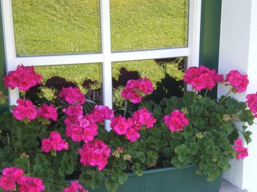 Imagen general del Göttfriedbauer. Foto 3