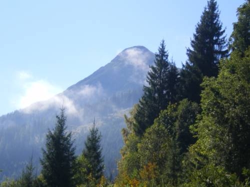 Imagen general del Göttfriedbauer. Foto 4