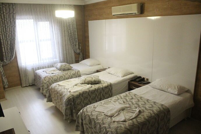 Imagen general del Grand Arslan Otel. Foto 5