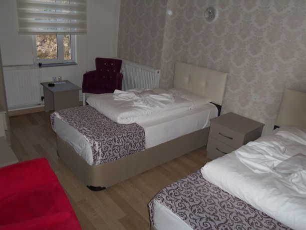 Imagen de la habitación del Grand Baysal Hotel. Foto 16