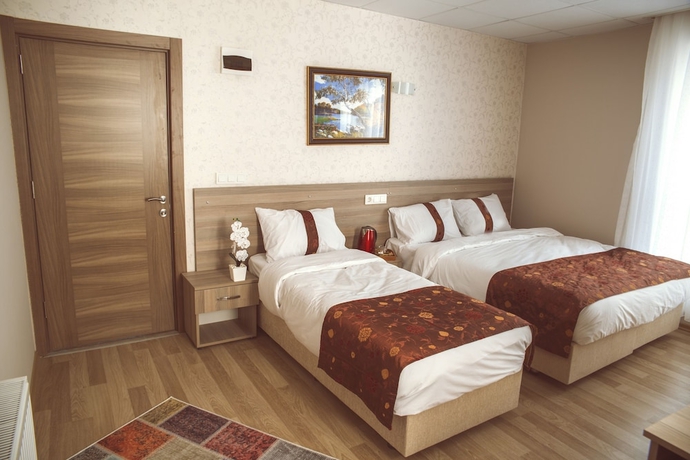 Imagen de la habitación del Grand Dedem Hotel. Foto 13