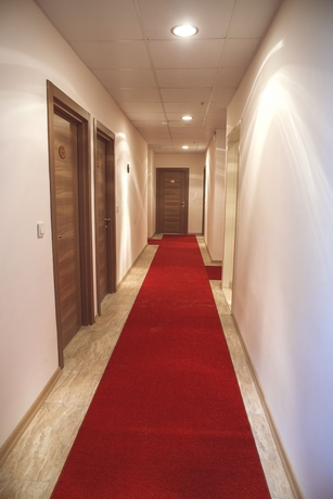 Imagen de los interiores del Grand Dedem Hotel. Foto 18