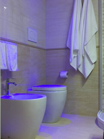 Imagen de la habitación del Grand Hotel Royal. Foto 24