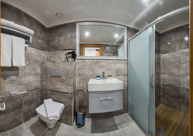 Imagen de la habitación del Grand Palace Hotel. Foto 9