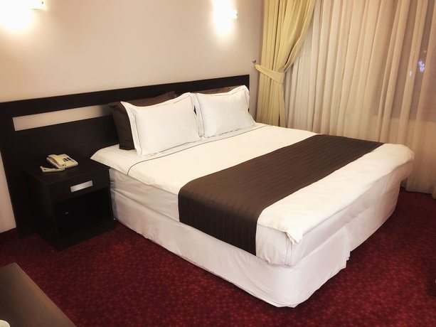 Imagen de la habitación del Grand Park Hotel. Foto 11