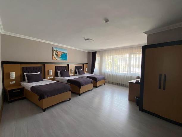 Imagen de la habitación del Grand Rimedya Hotel Mudanya. Foto 11