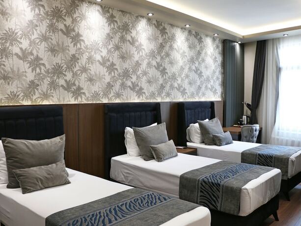 Imagen general del Grand Uskudar Hotel. Foto 2