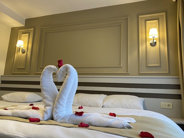 Imagen de la habitación del Grandaura Edirne. Foto 7