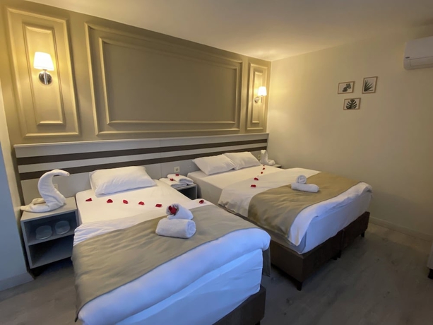 Imagen de la habitación del Grandaura Edirne. Foto 9