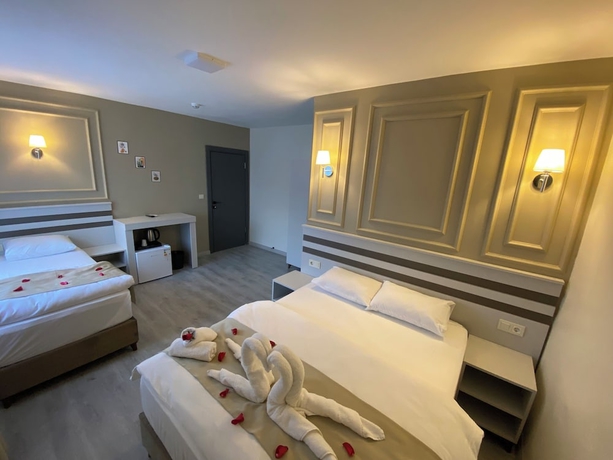 Imagen de la habitación del Grandaura Edirne. Foto 13