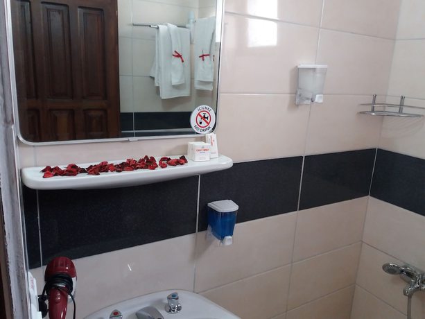 Imagen de la habitación del Graywolf Hotel. Foto 11