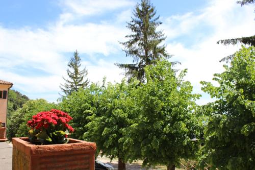 Imagen general del Greccio Existence Oasi. Foto 5