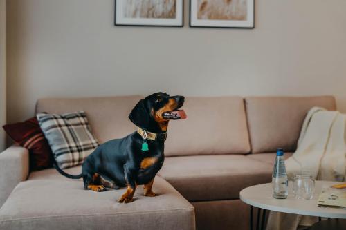 Imagen general del Green Apartments Wilcza. Foto 13