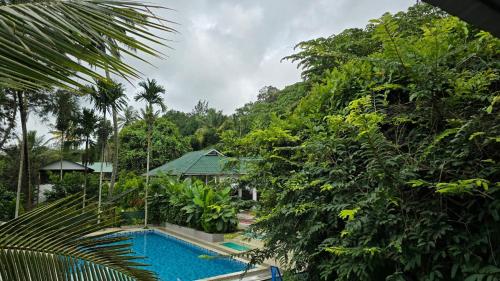 Imagen de la habitación del Green Aura. Foto 18