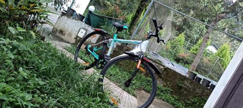 Imagen general del Green Aura. Foto 13