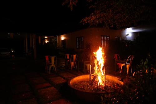 Imagen general del Green Aura. Foto 14