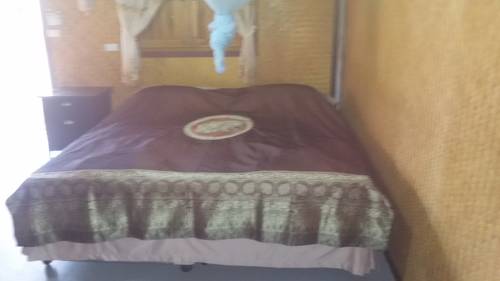 Imagen de la habitación del Green Chilli Bungalows. Foto 7