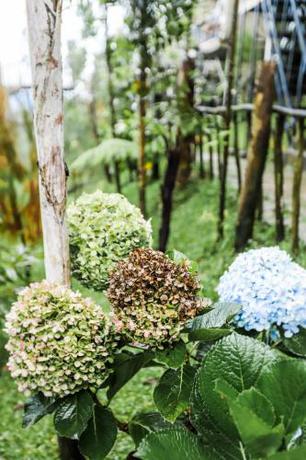 Imagen general del Green Panorama Resort by MHM. Foto 2