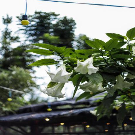 Imagen general del Green Panorama Resort by MHM. Foto 14