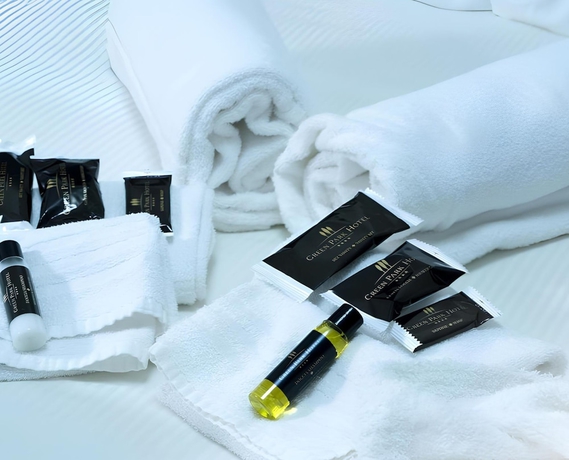 Imagen de la habitación del Green Park Hotel, Serroni. Foto 12