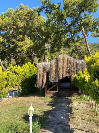 Imagen de la habitación del Green Pine Beach and Bungalows. Foto 20