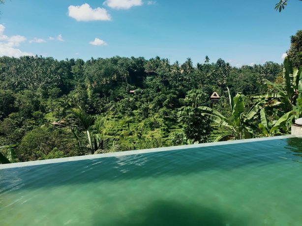 Imagen de la piscina del Green View Private Villas. Foto 13