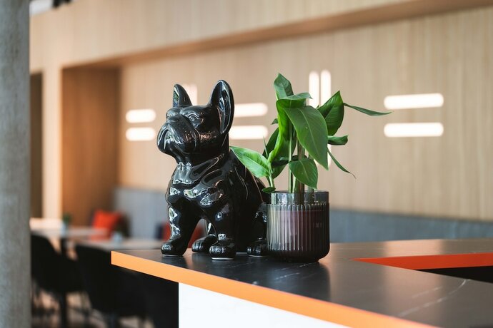 Imagen general del Grefis. Foto 8