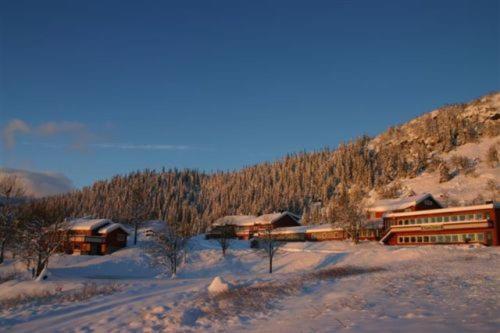 Imagen general del Gr&oslash;nolen Fjellgard. Foto 4
