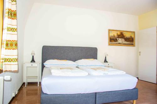 Imagen general del Gruppenhaus Lindenhof Churwalden. Foto 10