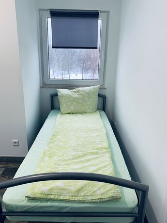 Imagen general del Gr&uuml;ner Baum, Calw. Foto 11