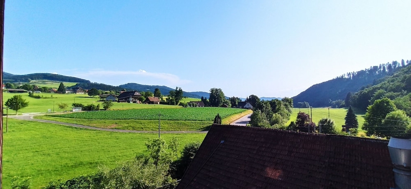 Imagen de la habitación del Gr&uuml;ner Hof. Foto 7