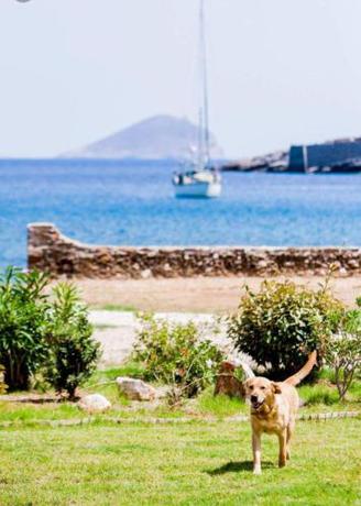 Imagen general del Guardiero 1. Foto 13