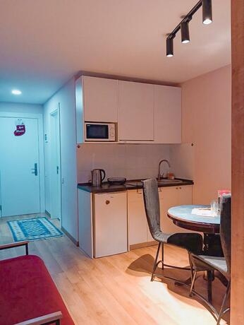 Imagen general del Gudauri Travel Apartments in Loft (New Gudauri). Foto 13