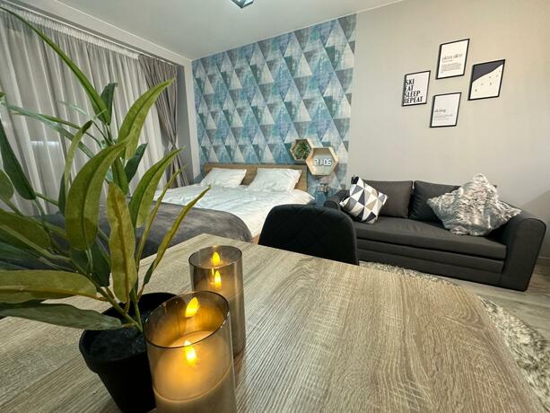 Imagen general del Gudauri Travel Apartments in Loft (New Gudauri). Foto 30