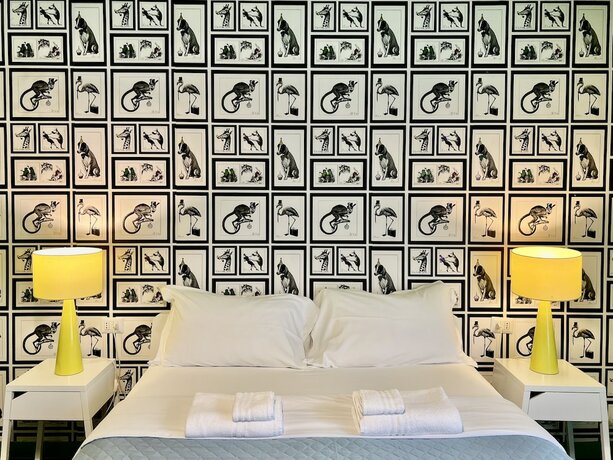 Imagen general del Guest House Sonnino 37. Foto 8