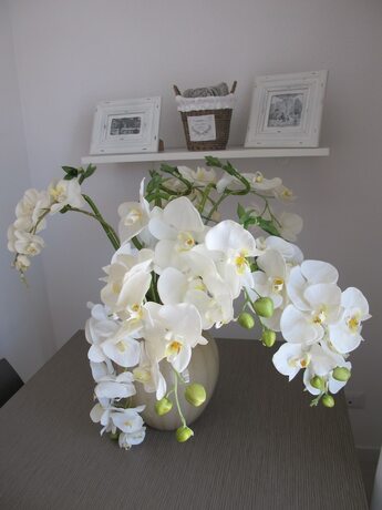 Imagen general del Guest House Suite Olbia. Foto 6