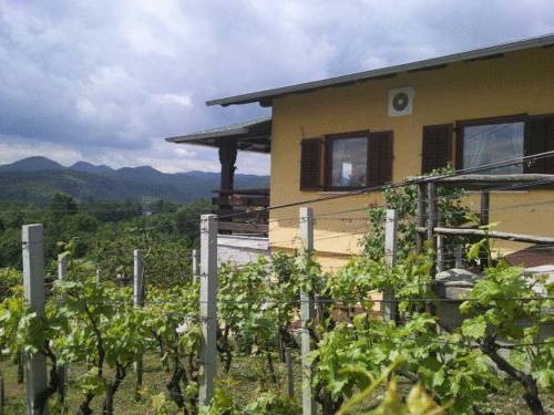 Imagen general del Guesthouse Pavlin. Foto 4