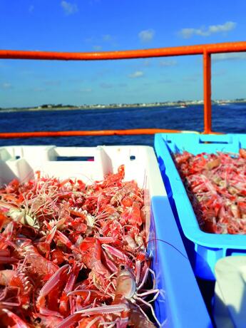 Imagen general del Guilvinec Parc Résidence. Foto 10