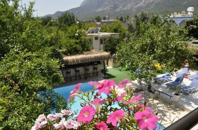 Imagen de la piscina del Guler Butik Hotel. Foto 15