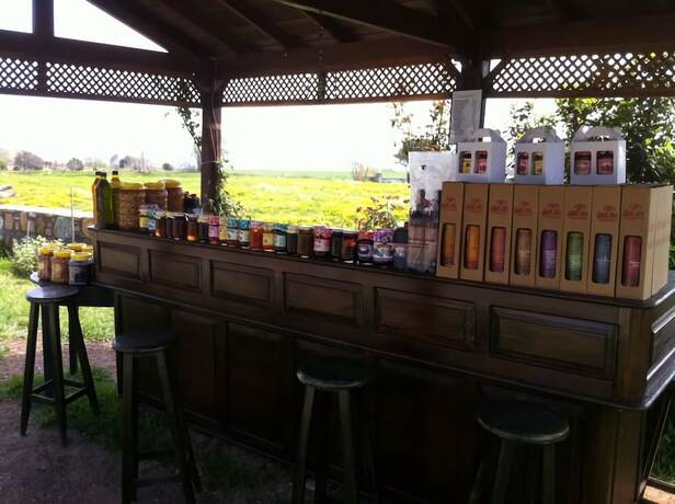 Imagen general del Guler Pansiyon. Foto 6