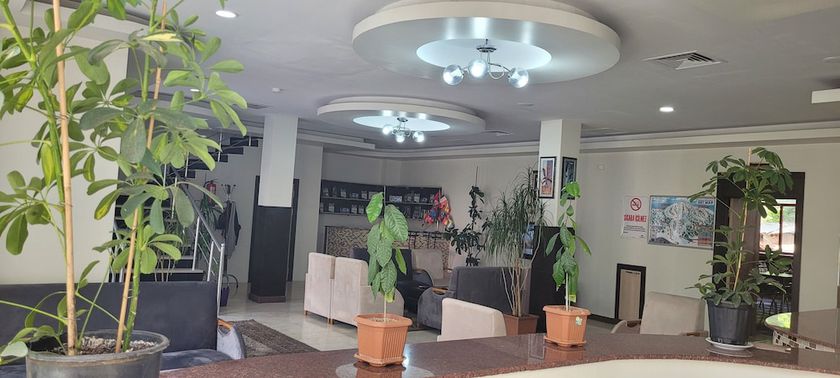 Imagen de los interiores del Gungoren Hotel. Foto 17