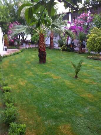 Imagen general del Gunisigi Otel. Foto 9