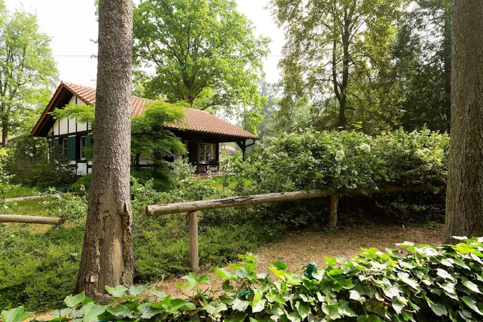 Imagen de la habitación del Gut Klosterm&uuml;hle. Foto 12
