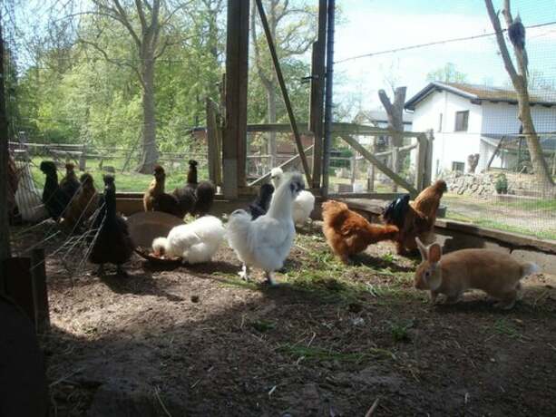 Imagen general del Gutspark Seeblick. Foto 8