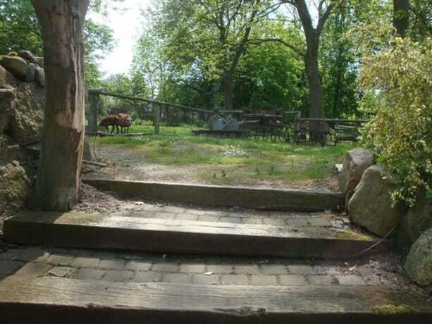 Imagen general del Gutspark Seeblick. Foto 9