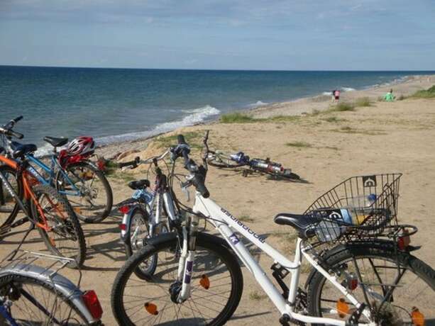 Imagen general del Gutspark Seeblick. Foto 16