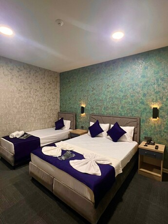 Imagen de la habitación del G&uuml;nesli Airport Suite Hotel. Foto 17