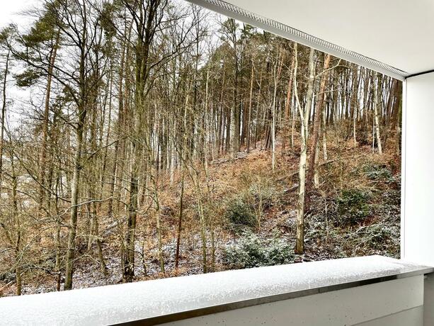 Imagen general del HARZ HOTEL und G&auml;stehaus am Bornweg. Foto 44