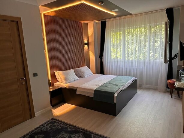 Imagen de la habitación del HİDDEN GARDEN BURSA. Foto 6