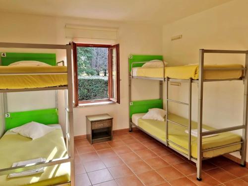 Imagen de la habitación del HI Geres - Pousada de Juventude do Ger&ecirc;s. Foto 19